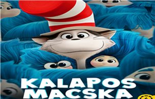 Kalapos macska